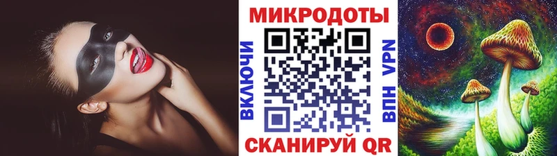 Псилоцибиновые грибы Psilocybe  Западная Двина 